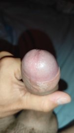 IMG_20240728_114644.jpg