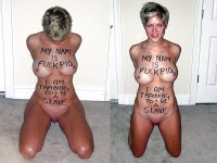 262_1000 (1).jpg