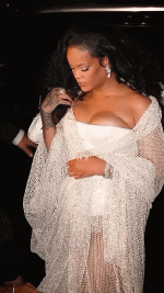 R1.gif