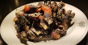 Percebes. B.jpg