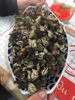 Percebes. D.jpg