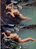 7930900_196506_139_she[1].jpg