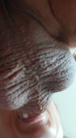 20241125_131439_exported_107917~2.jpg