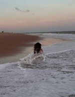 IMG_8149.jpeg