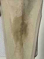 IMG_7355.jpeg