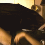 SG.gif