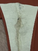 IMG_7372.jpeg