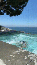 SPF21.gif