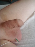 675_1000.jpg