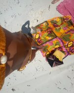 IMG_1114.jpeg