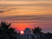 IMG_20240925_080005.jpg