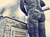 pretty image (1).png