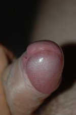 DSC_0382.jpg