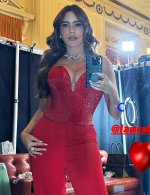 Sofia Vergara 1.jpg