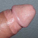 P1010003a.jpg