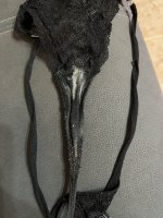 IMG_1488.jpeg