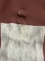 IMG_9338.jpeg