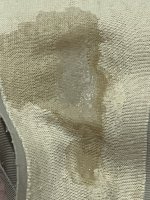 IMG_9301.jpeg