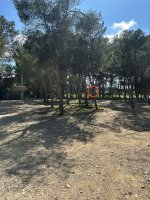 IMG_0667.jpeg