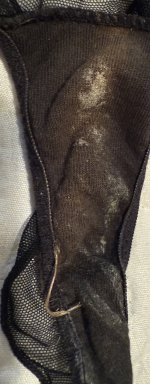 IMG_6968.jpeg