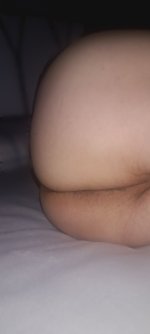 IMG_20250329_085619.jpg
