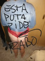 IMG_20241007_131030.jpg