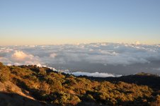 DSC_0656.JPG