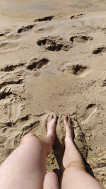 IMG_20250405.png