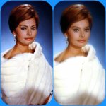 2020-05-27 01.05.57 2318043643205444366_sophialoren.jpg