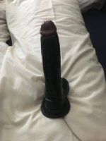IMG_0242.jpeg
