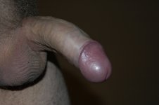 Copia de _DSC0074.JPG