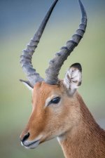 gettyimages-2158084897-612x612.jpg
