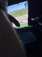 20250411_194817.jpg