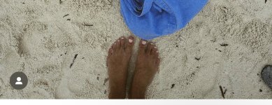 IMG_4239.jpeg
