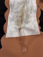 IMG_9593.jpeg