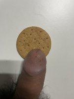 IMG_4256.jpeg