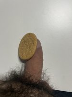 IMG_4255.jpeg
