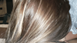 1000000542.gif