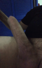 LLAUNA-3.gif