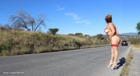 6406566-on-the-road.jpg