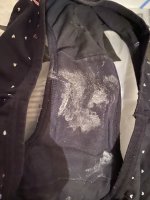 IMG_5231.jpeg