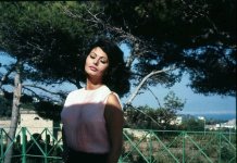 2020-05-27 00.44.19 2318032750497407525_sophialoren.jpg