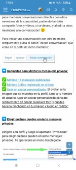 Screenshot_20250429_173353_Samsung Internet.jpg