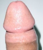 8a.jpg