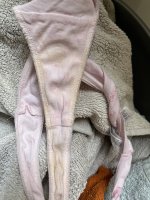 IMG_1669.jpeg