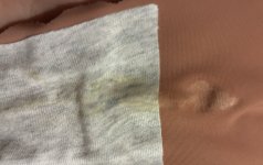 IMG_9737.jpeg