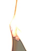 46680 (79667).JPG