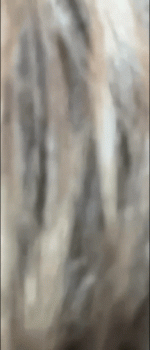 María Morán culazo.gif