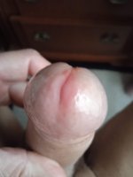 IMG_20250503_082044.jpg