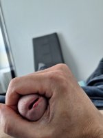 20250428_174533.jpg
